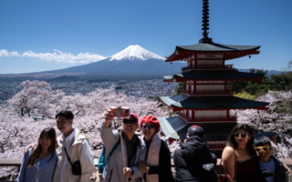 富士山下樱花盛开 过度旅游再困扰日本小镇