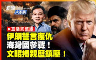 【新闻大家谈】伊朗誓言复仇 海湾国参战