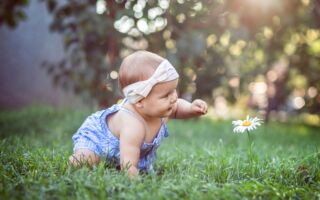 教育孩子的秘方——从家中、从学前开始