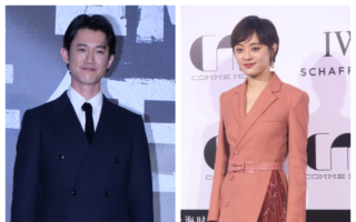 吴慷仁赴陆首作收视不佳 女主角孙俪吐心声