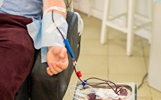 中共拟延长献血年龄至65岁 遭网民炮轰