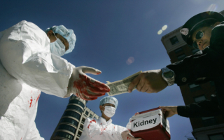 专家：中共借世界献血日掩盖活摘器官真相