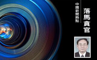 中纪委书记李希前大管家周立元被查