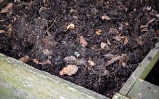 堆肥对花园有益且减少浪费 但当心小狗受害