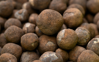 研究：深海采矿是摆脱中共垄断的关键