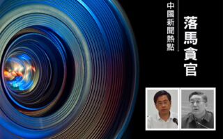 李燕铭:徐医两副校长落马 或牵连上海帮大佬