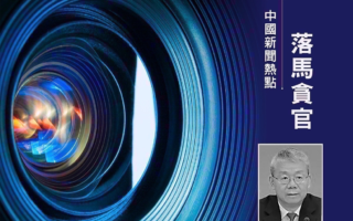 中共最高法院民一庭前庭长郑学林获刑15年
