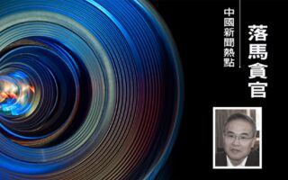 中国第二大钢企鞍钢集团原总工程师林大庆被查