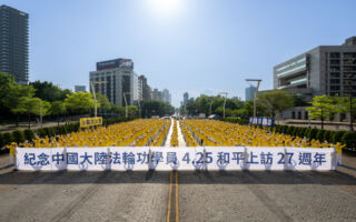 【纪念4.25】水调歌头‧壮举永流芳