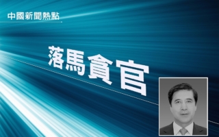 内蒙“老虎”王中和获刑17年 曾任包头市委书记