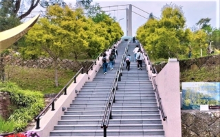 走在云端看风景 嘉义梅山太平一日游攻略
