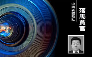 江泽民堂妹地盘被清洗 林业官员接连落马