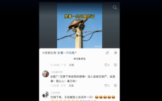 抖音视频“电线杆顶上的乌龟”被封杀 惹议