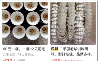 天然羽毛短缺 羽毛球价格涨得比黄金还猛