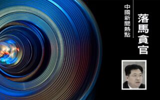 浙江湖州厅官杨建新投案 曾任陈伟俊副手