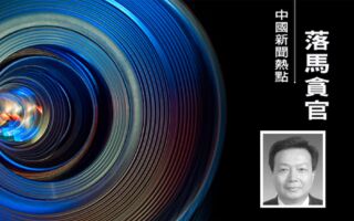前合肥市政协主席董昭礼被查 其同僚被判无期