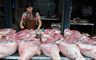 “菜比肉贵”中国猪价暴跌 猪企深度亏损