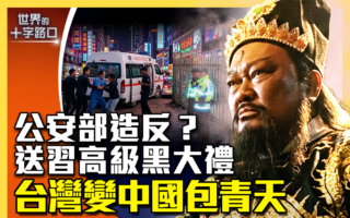 【十字路口】公安部邀功翻车?送习高级黑大礼