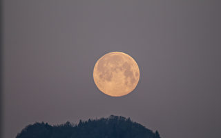 流星雨加超级月亮 八月天文爱好者福音