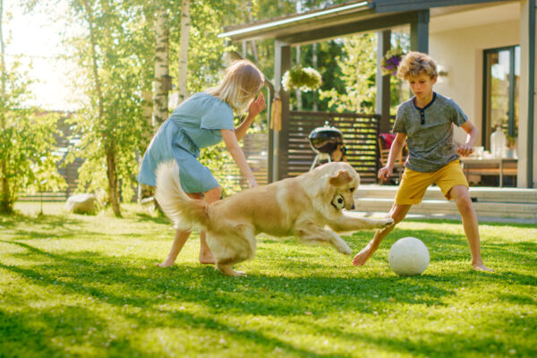 弃TikTok和手机 美国妈妈回归传统养育孩子
