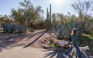 川普回应NBC主持人母亲遭绑架案