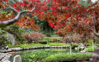 台湾古典诗：春游