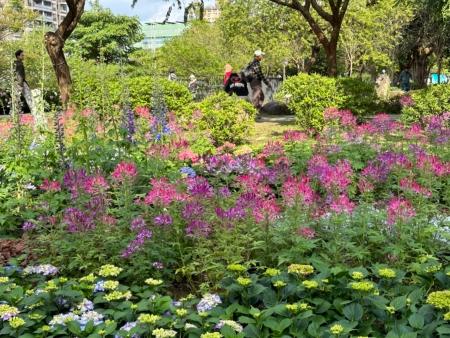 台北大安森林公园 漫步绿荫花草虫鸣间