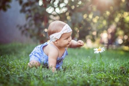 教育孩子的秘方——从家中、从学前开始