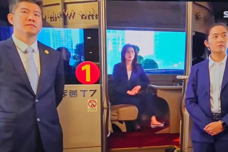 郑丽文捧习惹议 北京学者:习声名狼藉