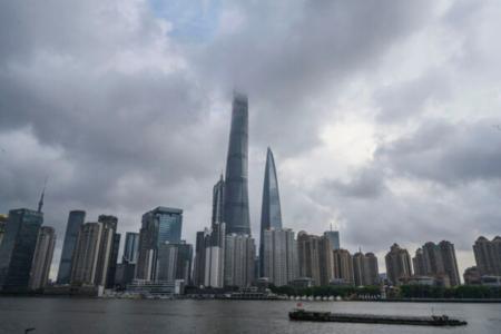 王友群:习上海露面背后的真相是什么?